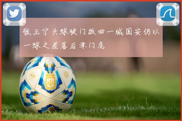 张玉宁头球破门扳回一城国安仍以一球之差落后津门虎